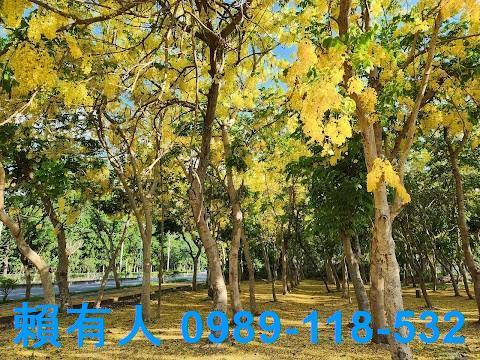 仁德大樓-1